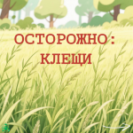 image001